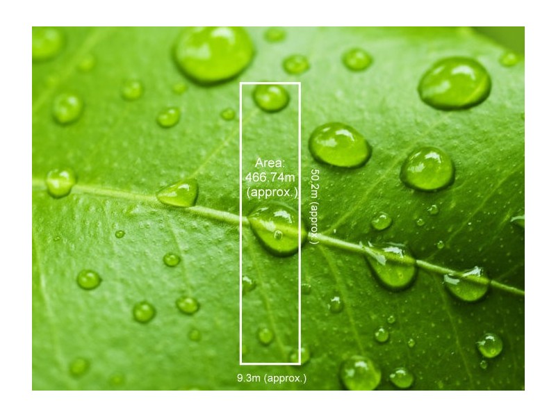 69A Elizabeth Street, Newport VIC 3015