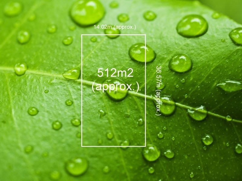 143 Blackshaws Road, Newport VIC 3015