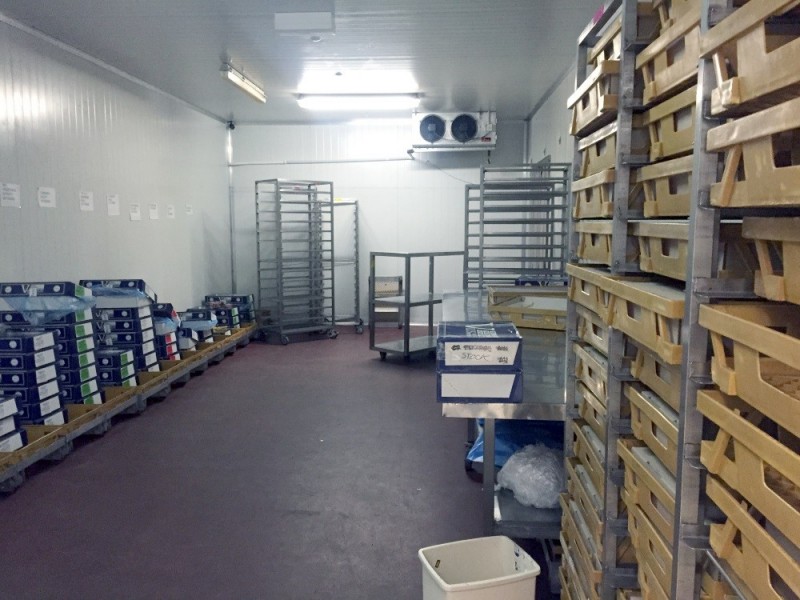 40 Chelmsford Street, Williamstown VIC 3016