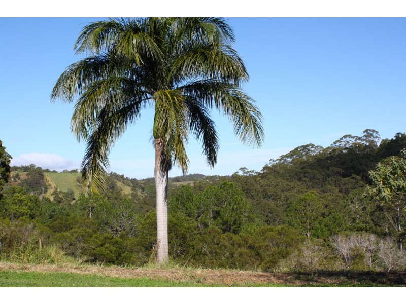 Lot 2 / 314 Old Ceylon Road, Ridgewood QLD 4563