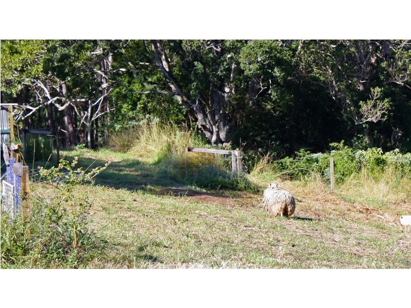 Lot 2 / 314 Old Ceylon Road, Ridgewood QLD 4563