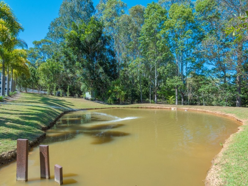 15 Dierdre Drive, Eumundi QLD 4562