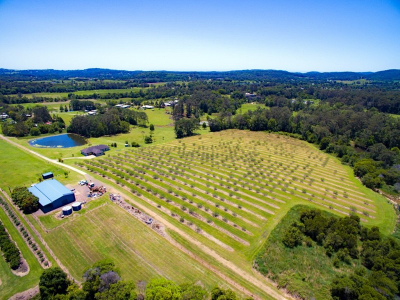 North Arm QLD 4561