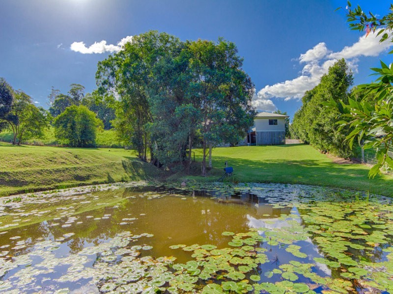 Black Mountain QLD 4563