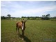 173 Ocean View Rd, Cooroy QLD 4563
