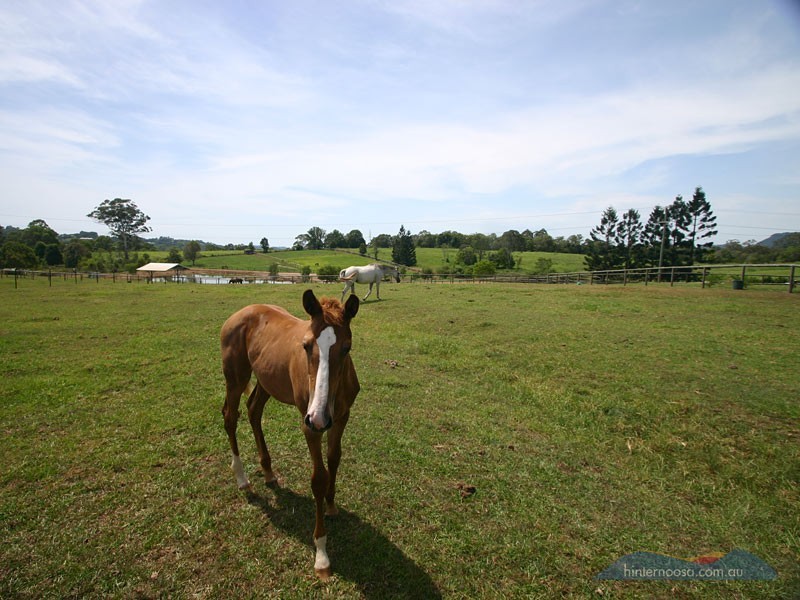 173 Ocean View Rd, Cooroy QLD 4563