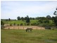 173 Ocean View Rd, Cooroy QLD 4563