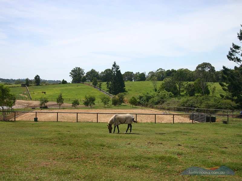 173 Ocean View Rd, Cooroy QLD 4563