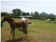 173 Ocean View Rd, Cooroy QLD 4563