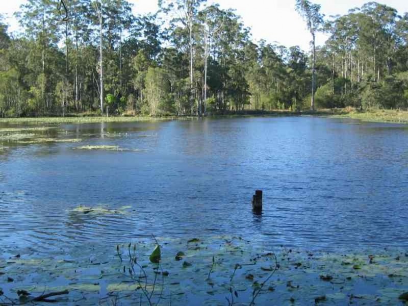 299 Bates Road, Kin Kin QLD 4571