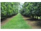 299 Bates Road, Kin Kin QLD 4571