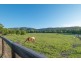107 Skyring Creek Road, Federal QLD 4568