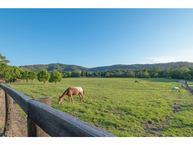107 Skyring Creek Road, Federal QLD 4568