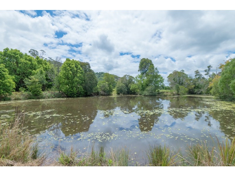 107 Skyring Creek Road, Federal QLD 4568