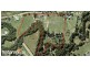 107 Skyring Creek Road, Federal QLD 4568