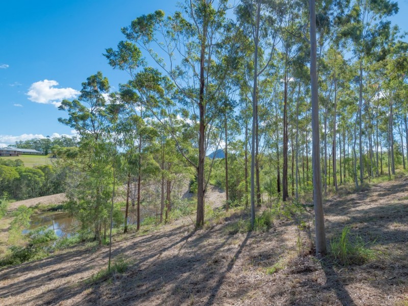 293 Black Mountain Range Rd, Black Mountain QLD 4563