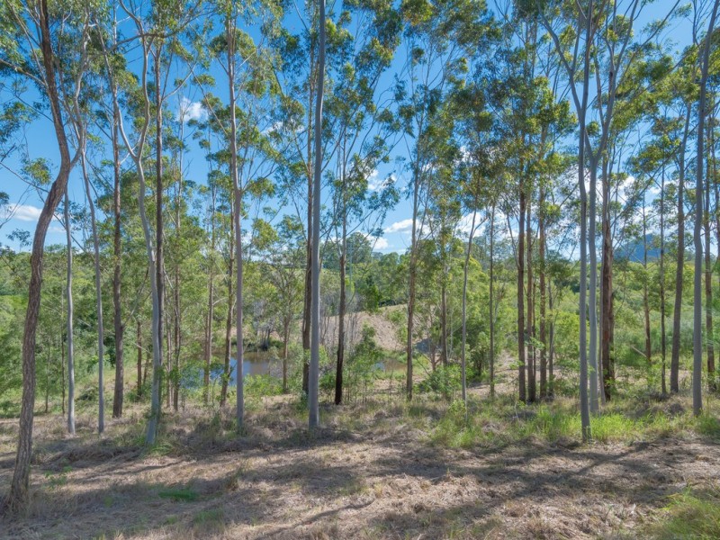 293 Black Mountain Range Rd, Black Mountain QLD 4563