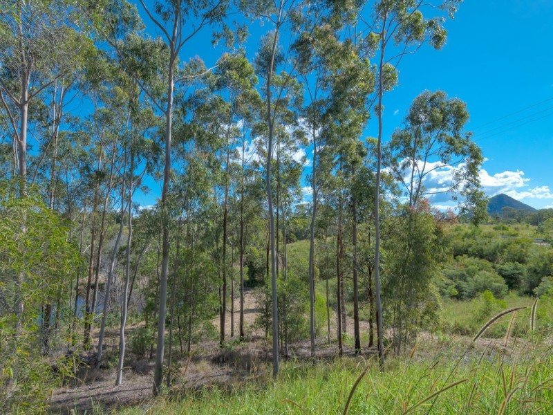 293 Black Mountain Range Rd, Black Mountain QLD 4563