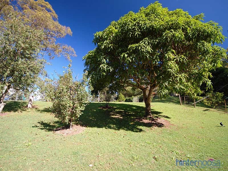 46 Donnellys Road, Ridgewood QLD 4563