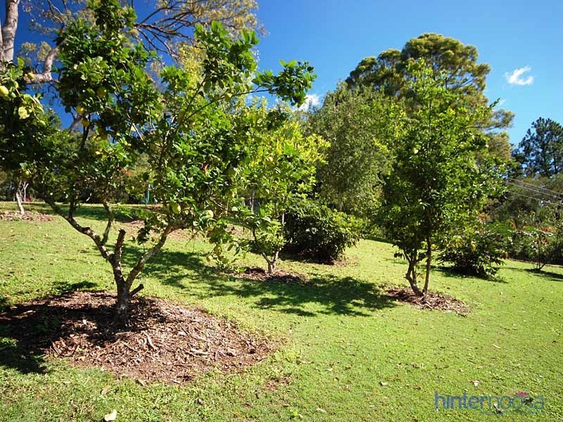 46 Donnellys Road, Ridgewood QLD 4563