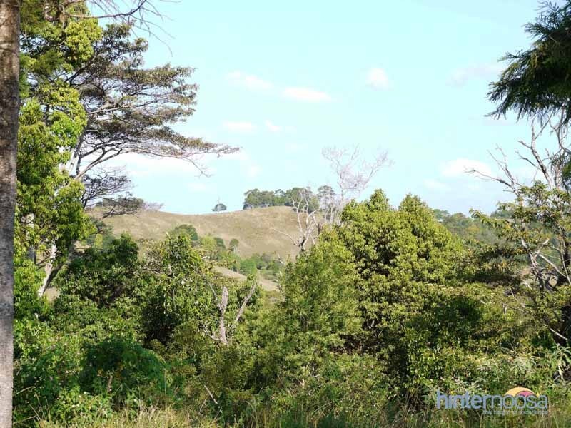 72 Wust Road, Cooroy QLD 4563