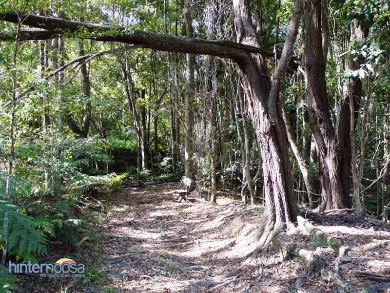 72 Wust Road, Cooroy QLD 4563