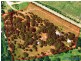 165 Dath Henderson RD, Tinbeerwah QLD 4563
