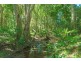 83 Tunba Court, Cooroy Mountain QLD 4563
