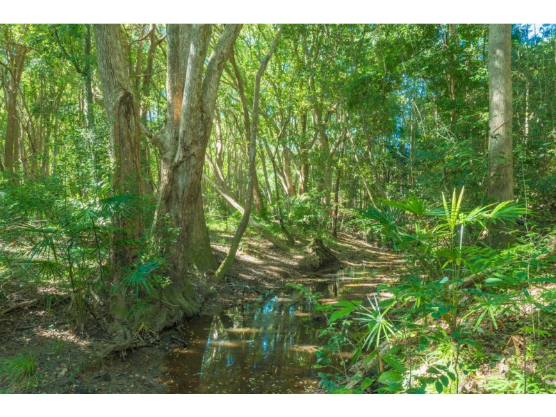 83 Tunba Court, Cooroy Mountain QLD 4563