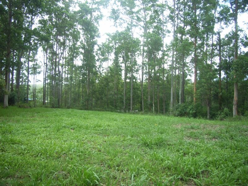 8 Supplejack Court, Lake Macdonald QLD 4563