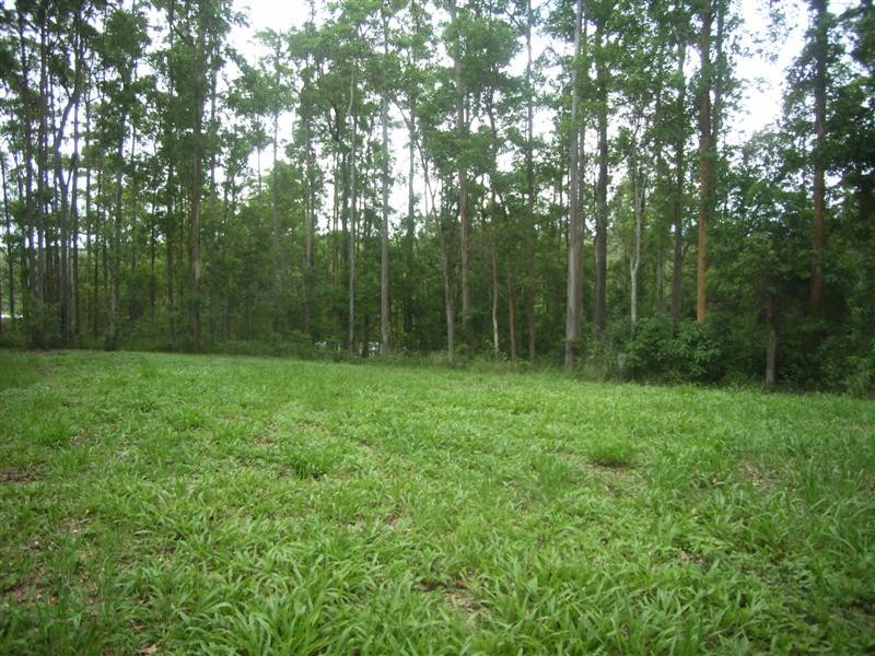 8 Supplejack Court, Lake Macdonald QLD 4563