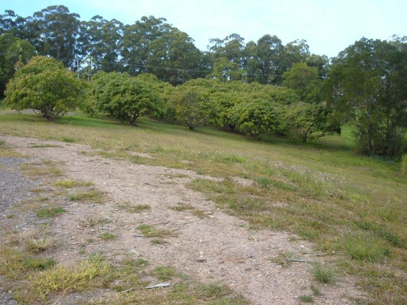 Doonan QLD 4562