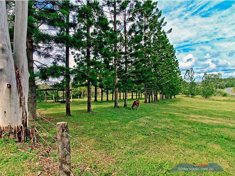 1493 Cooroy Belli Creek Road, Cooroy QLD 4563