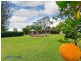 1493 Cooroy Belli Creek Road, Cooroy QLD 4563