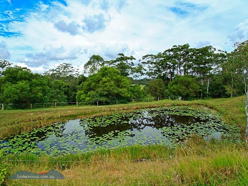 1493 Cooroy Belli Creek Road, Cooroy QLD 4563