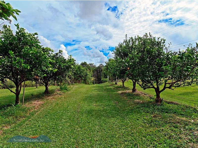 1493 Cooroy Belli Creek Road, Cooroy QLD 4563