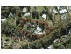 590 Sunrise Road, Tinbeerwah QLD 4563