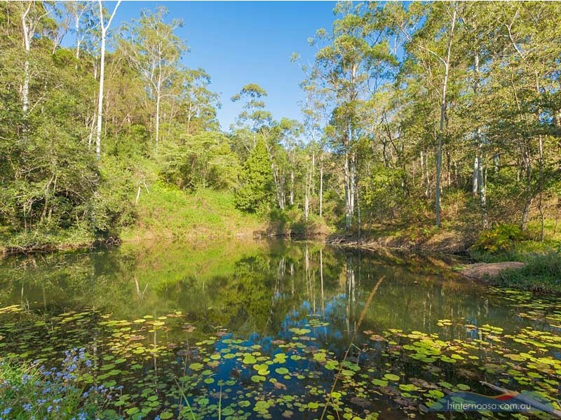 79 Jorgensens Road, Ridgewood QLD 4563