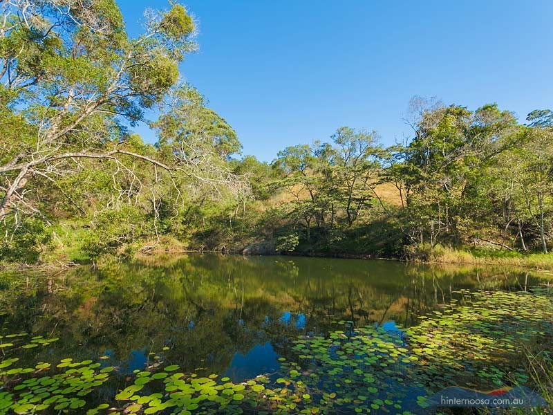79 Jorgensens Road, Ridgewood QLD 4563