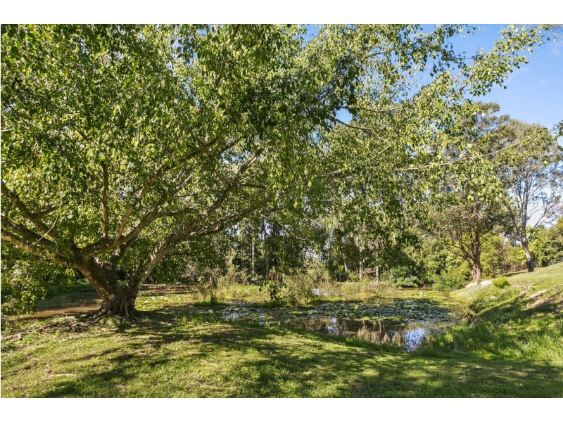 241 Duke Road, Doonan QLD 4562