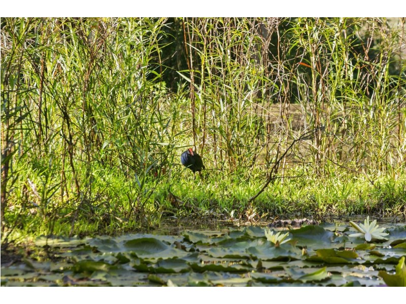 241 Duke Road, Doonan QLD 4562