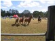 . Friarbird Pl and Whistler Way, Pomona QLD 4568