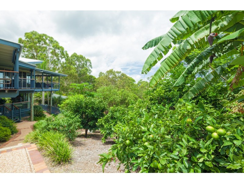 1 Hinterland Close, Tinbeerwah QLD 4563
