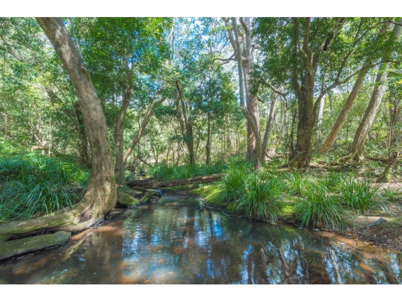 421 Cedar Creek Road, Belli Park QLD 4562