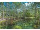 421 Cedar Creek Road, Belli Park QLD 4562