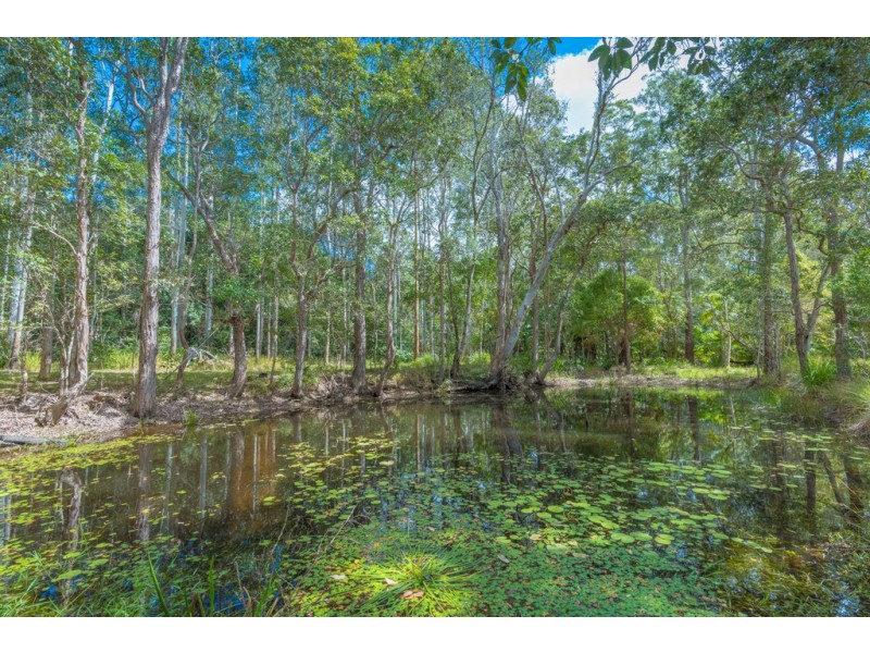 421 Cedar Creek Road, Belli Park QLD 4562
