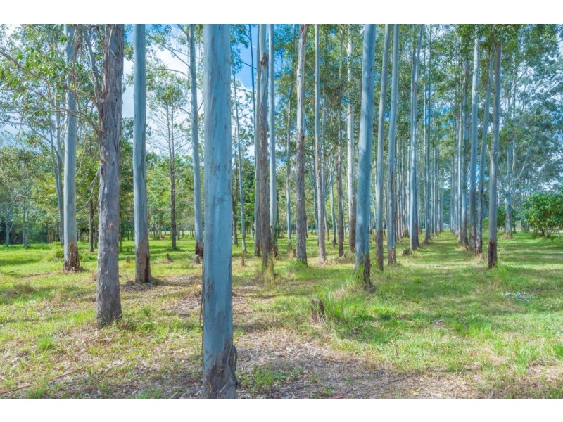 421 Cedar Creek Road, Belli Park QLD 4562