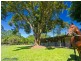 56 Duke Road, Doonan QLD 4562