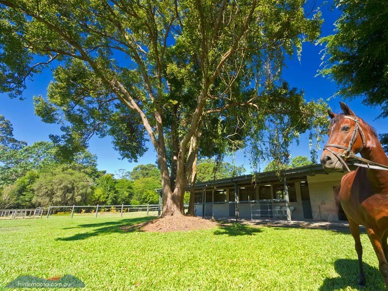 56 Duke Road, Doonan QLD 4562
