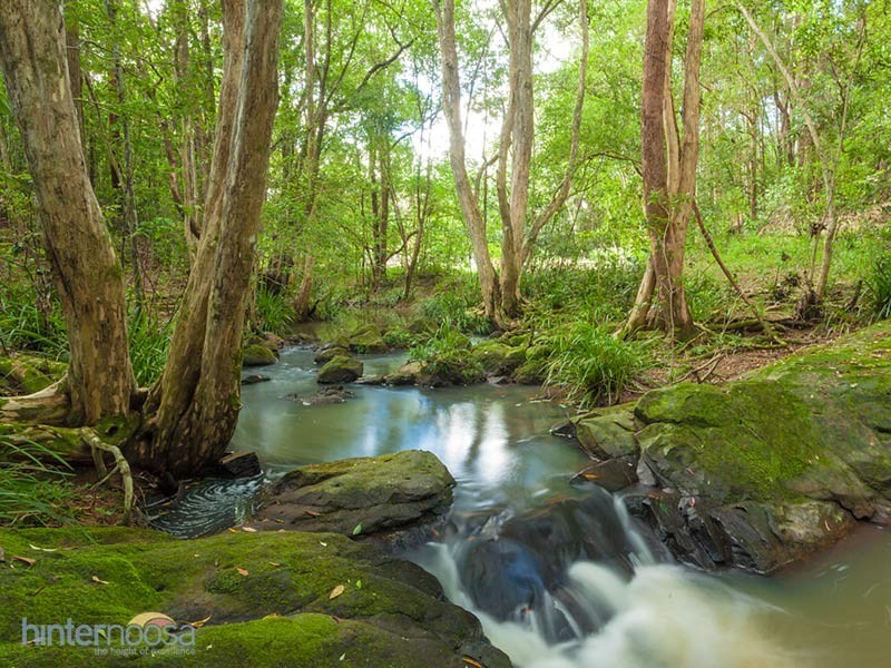 70 Cash Road, Eumundi QLD 4562